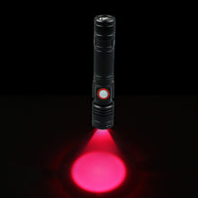 Pets Can Use Infrared Therapy Flashlights